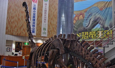 MIKIO YAMAMOTO｜TOPICS｜今話題の巨大ワニ化石を見に「三瓶自然館」へ！