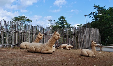 MIKIO YAMAMOTO｜TOPICS｜宇部市の「ときわ動物園」が新しい！